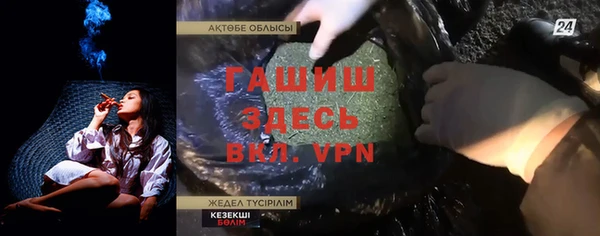 стаф Алексин