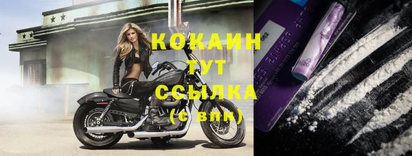 кокс Алзамай