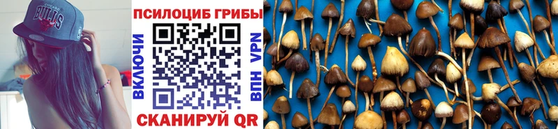 где купить наркоту Дзержинский Галлюциногенные грибы ЛСД